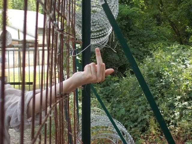 A hand holding up the middle finger, through a metal fence