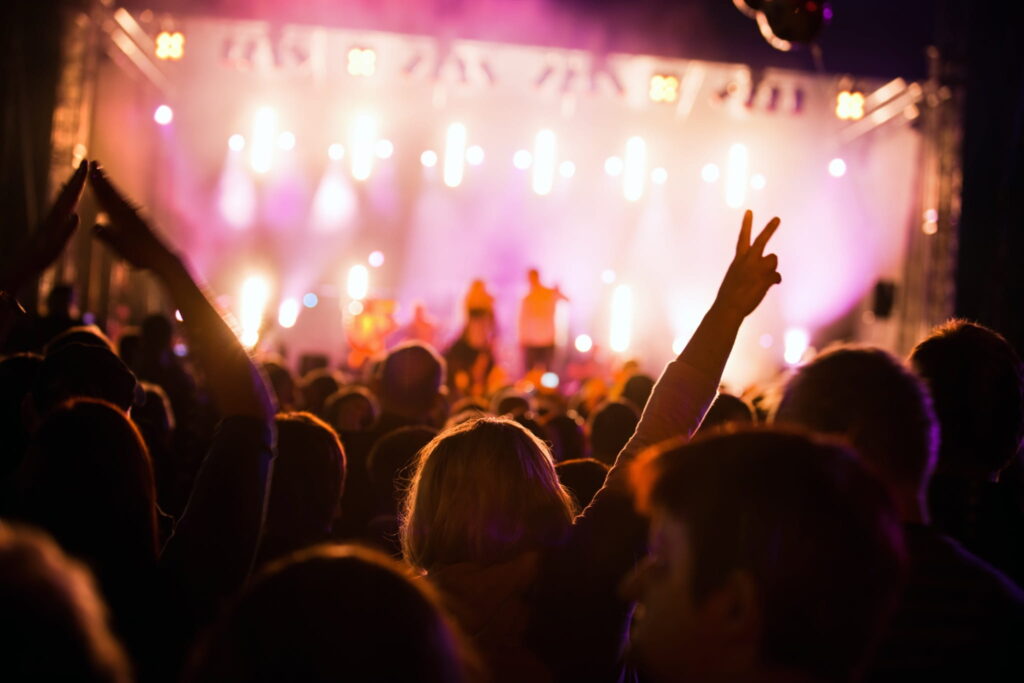 A crowd at a music festival